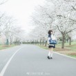 王胖胖u胶带的图包,不容错过的绝美视觉盛宴